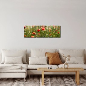 Tablou cu maci (cu ceas) (90x30 cm)