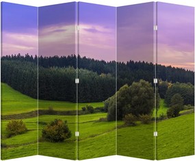 Paravan - Lunca (210x170 cm)