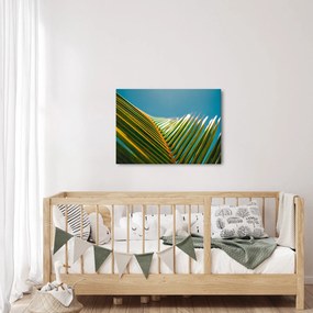 Tablou - Frunze de palmier (70x50 cm)
