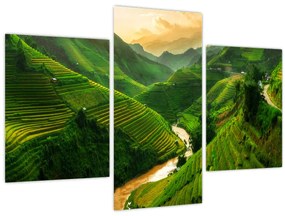Tablou - Terase de orez Mu Cang Chai (90x60 cm)