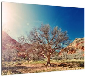 Tablou cu cu copac în deșert (70x50 cm), în 40 de alte dimensiuni noi