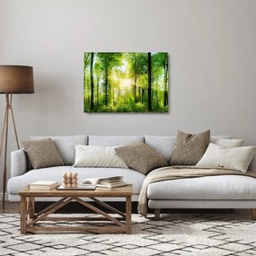 Tablou pe sticlă - Răsărit în pădure (70x50 cm)