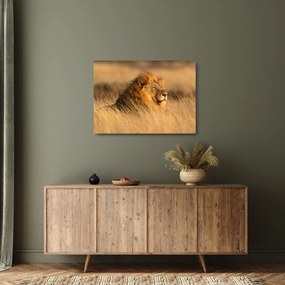 Tablou pe sticlă - Parcul Național Etosha (70x50 cm)