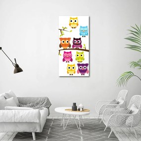 Tablou pe pânză canvas Bufnițe colorate