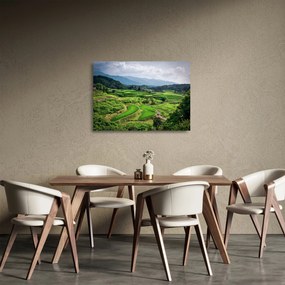 Tablou pe sticlă cu câmp de orez (70x50 cm)