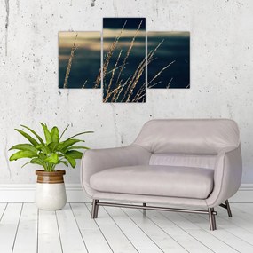 Tablou cu ierburi (90x60 cm)