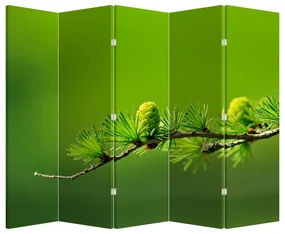 Paravan Con verde (210x170 cm)