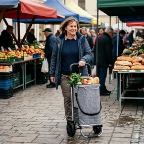 Geantă de cumpărături pe roți EASY, 50L, gri Monzana