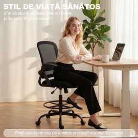 HOMCOM Scaun de Birou Ergonomic, Scaun Rotativ din Plasă, Înălțime Reglabilă și Suport pentru Picioare, Scaun de Birou cu Suport Lombar și Brațe Rabatabile, Capacitate 120kg, Negru | Aosom Romania