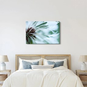 Tablou - Detaliu floare (90x60 cm)