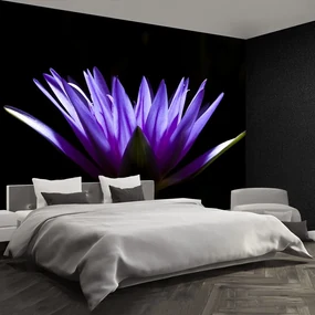 Fototapet Purple Lotus