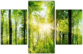 Tablou - Răsărit în pădure (90x60 cm)
