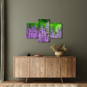 Tablou cu flori de luncă violete (90x60 cm)