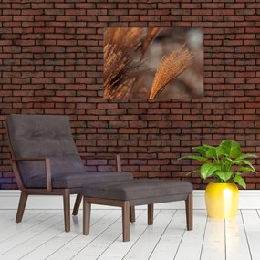 Tablou - Cortaderie (70x50 cm)