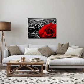 Tablou - Flori de trandafir (70x50 cm)