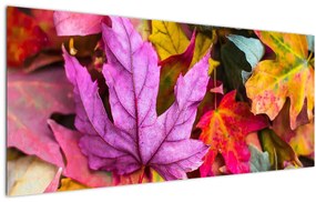 Tablou - frunze de toamnă (120x50 cm), în 40 de alte dimensiuni noi