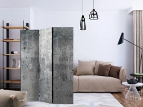 Paravan - Fresh Concrete [Room Dividers]