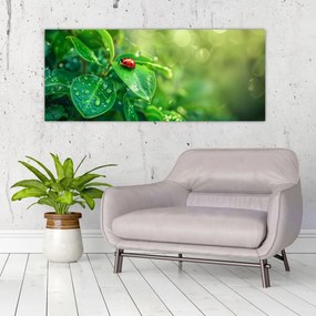 Tablou - Buburuza (120x50 cm)