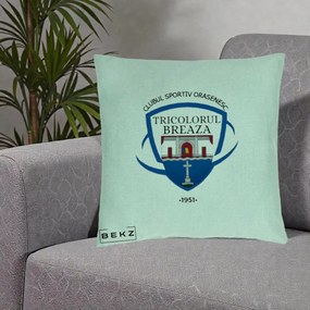 Perna Personalizata CSO Tricolorul Breaza 1951, 40x40 cm, Verde Menta, Husa Detasabila, Perna Inclusa, BEKZ®