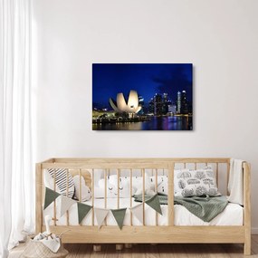 Tablou Singapore nocturn (90x60 cm)