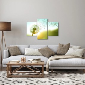 Tablou - Păpădia în vânt (90x60 cm)