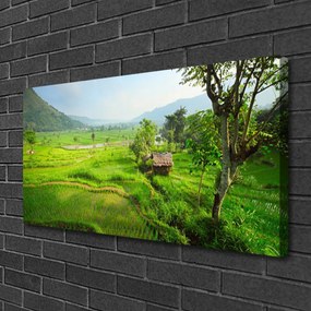 Tablou pe panza canvas Meadow Natura verde