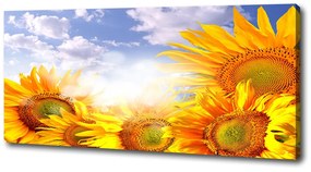 Tablou pe pânză canvas Floarea soarelui