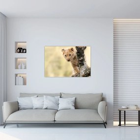 Tablou cu pui de leu (90x60 cm)