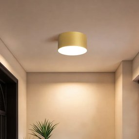 BRILAGI - Plafonieră LED de exterior FORIS LED/14W/230V Ø 12 cm aurie IP4