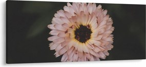 Tablou cu floare portocalie (120x50 cm)
