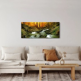 Tablou - Pădure (120x50 cm)