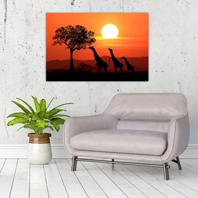 Tablou cu girafe în apus de soare (90x60 cm)