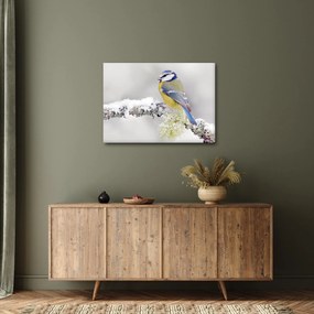 Tablou - Tit albastru în pădure (70x50 cm)