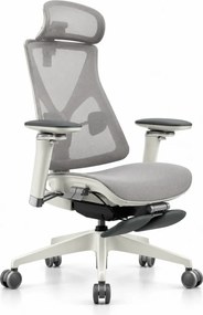 Scaun ergonomic ANEW ARYSE D3, Suport Lombar Trio Dinamic , Cotiere 5D Dual-Axis, Tetieră Reglabilă, Mecanism Sensibil la Greutate cu Seat-Slider, Suport Picioare, Mesh, Gri