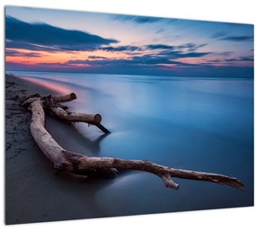 Tablou cu plaja în apus de soare (70x50 cm), în 40 de alte dimensiuni noi