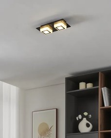 Eglo 99362 - Plafonieră LED MASIANO 2xLED/3,3W/230V