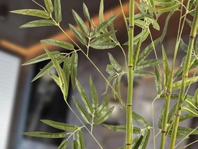 Planta artificiala decorativa Bambu, H170