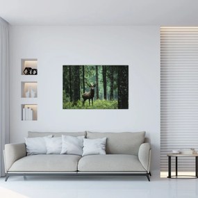 Tablou - Cerb în pădurea adâncă (90x60 cm)