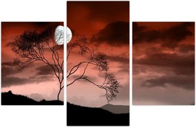 Tablou - Luna luminează noaptea (90x60 cm)