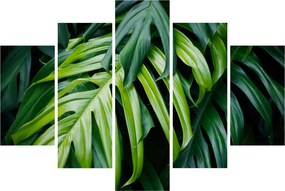 Tablou - Frunze tropicale (150x105 cm)
