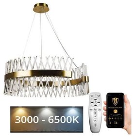 Lustră LED dimabilă pe cablu LED/175W/230V 3000-6500K auriu + telecomandă