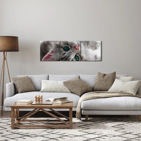 Tablou - Pisica cu ochi verzi (cu ceas) (90x30 cm)