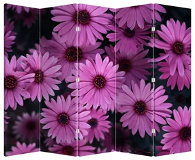 Paravan - Florile roz (210x170 cm)