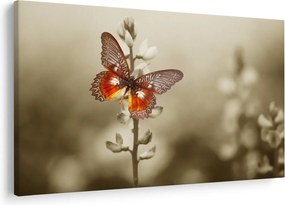 Tablou cu fluture (90x60 cm)