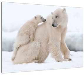 Tablou - Urs polar (70x50 cm)