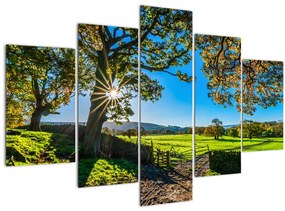 Tablou Privire la câmp (150x105 cm)