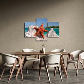 Tablou cu stea de mare (90x60 cm)