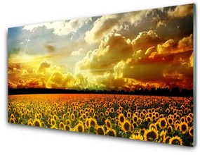 Tablou pe sticla Meadow Sunflowers Floral Galben Maro