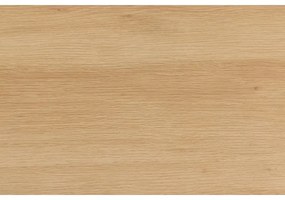 Dulap pentru haine OLIVIA 99x200 cm, stejar