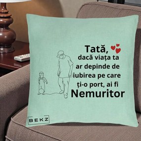 Cadou pentru Tata - Perna Personalizata Tata Nemuritor Joaca cu Mingea, 40x40 cm, Verde Menta, Husa Detasabila, Perna Inclusa, BEKZ®